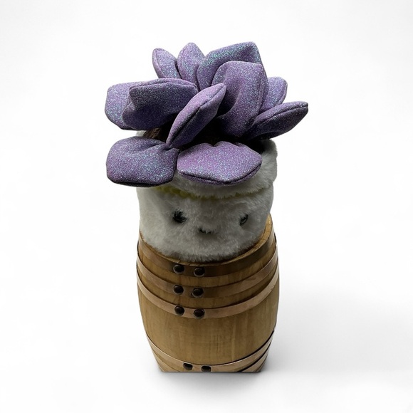 FAO Schwarz Sparklers Plant Echeveria Succulent 7 inch - Picture 10 of 10